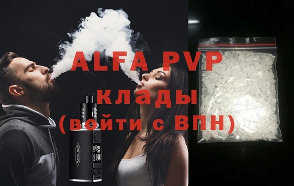 шишки Белокуриха