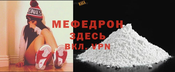 шишки Белокуриха