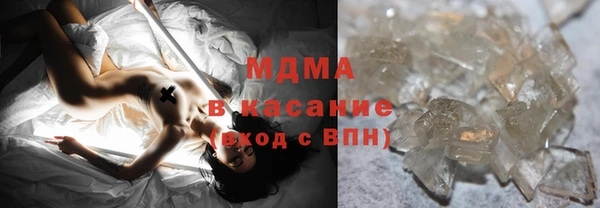 шишки Белокуриха