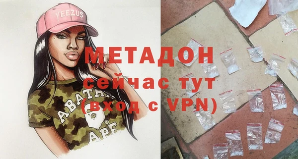 шишки Белокуриха
