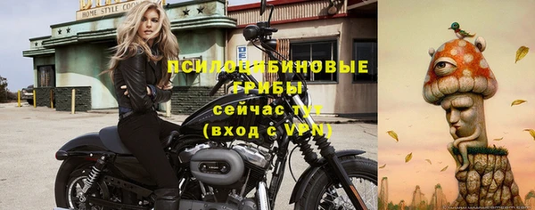 шишки Белокуриха
