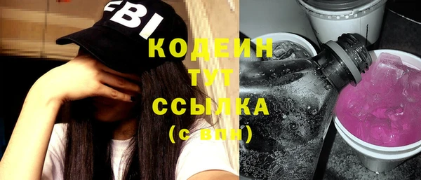 шишки Белокуриха