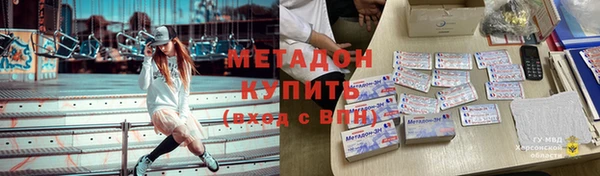 шишки Белокуриха