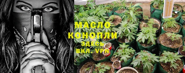 шишки Белокуриха